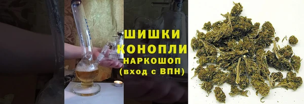 крисы Абдулино