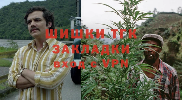 скорость Алзамай