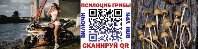 нарко площадка телеграм  Уварово  mega   Галлюциногенные грибы ЛСД  как найти закладки 
